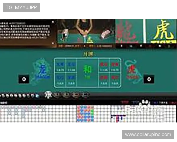 真人现场版龙虎游戏玩法揭秘，教你如何在现场中轻松赢取丰厚奖励